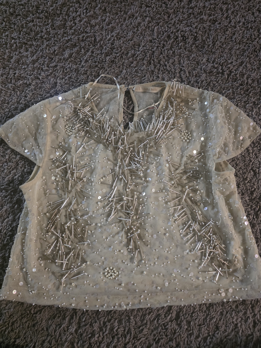 Zara Embellished Beaded Mesh Top in Light Beige